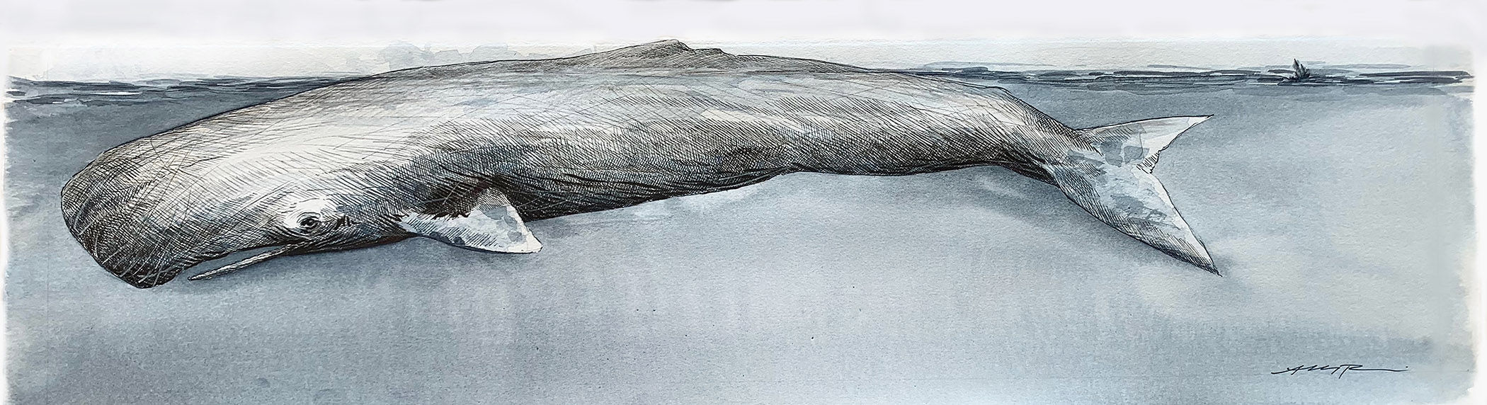'Enormity' whale